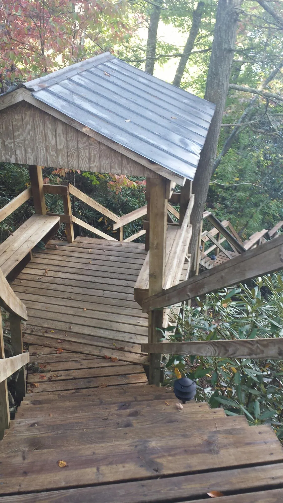 Metal roofed shelter over wooden steps on a wooded walkway — Skylight Repair & Installation work by our crew in Obion